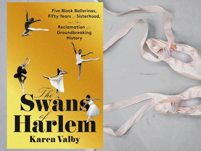 book cover of the swans of harlem